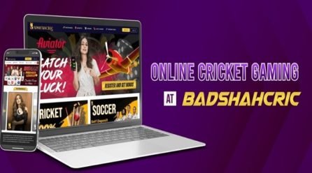 Badshahcric: The Rise of iGaming Sports